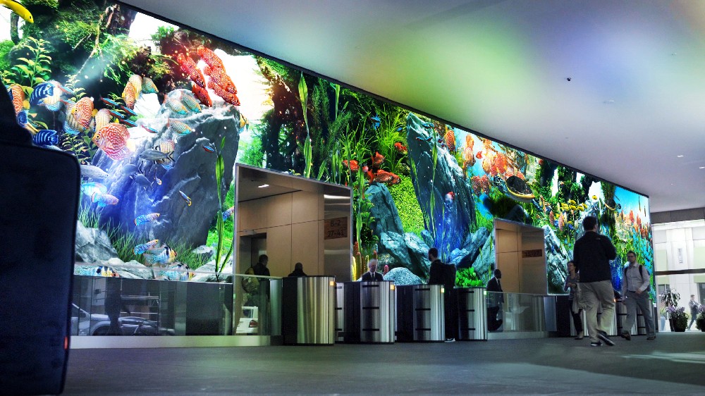 9K海底世界观赏鱼投影