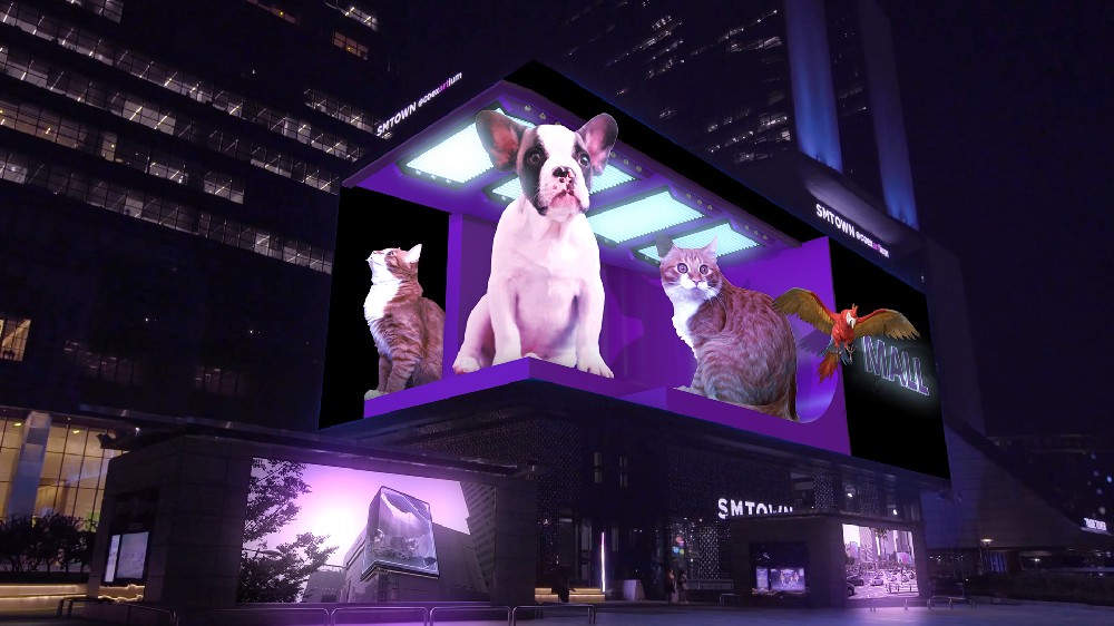 裸眼3D-小狗猫咪